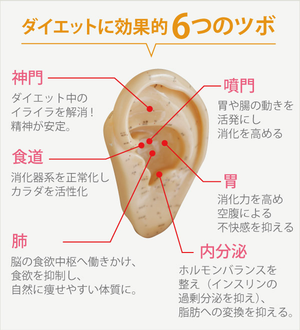 耳つぼダイエットの効果
